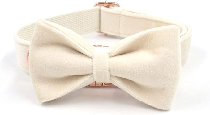 PETDURO Custom Dog Collar Personalized with Name Engraved Quick Release Rose Gold Metal Buckle for Large Medium Small Girl Dogs - Dog Leash and Bow Tie Available - Soft Comfy Velvet (Cream, S)