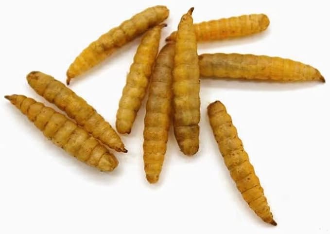 Premium Chicken Treats 10LB - Non-GMO & 85X More Calcium Than Meal Worms - Molting & Laying Supplement - BSF Larvae Treats for Layer Hens, Ducks Wild Birds