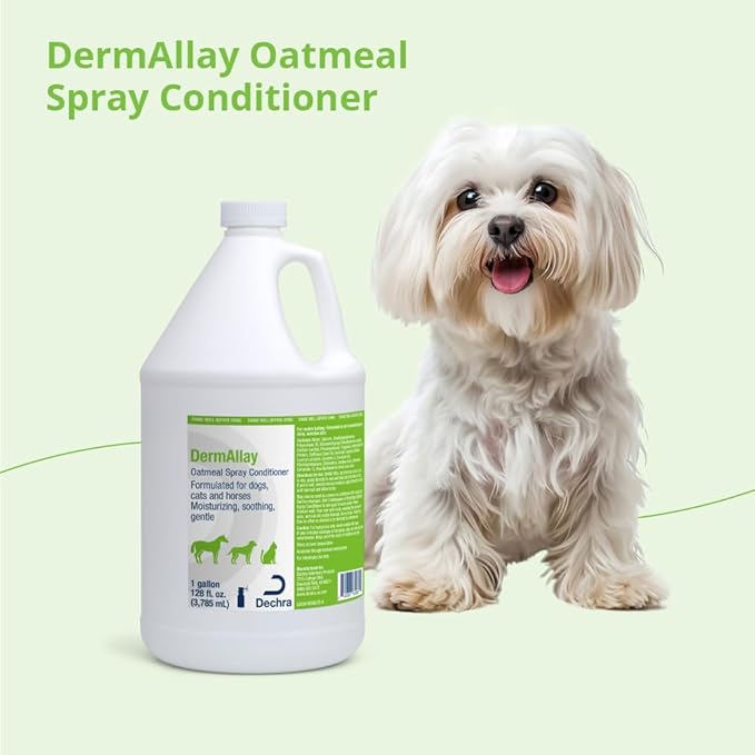 DermAllay Oatmeal Spray Conditioner for Dogs, Cats and Horses, 1 Gallon