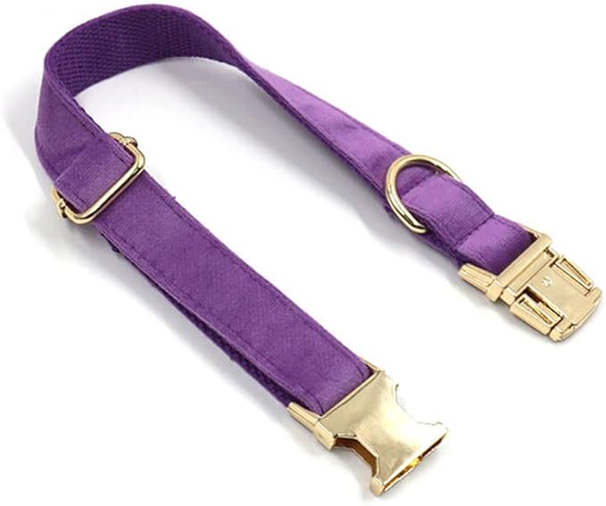 PETDURO Personalized Dog Collar Purple Soft Velvet for Large Medium Small Girl Dogs - Custom Collar with Name Phone Number Engraved on Gold Metal Buckle - Add Matching Leash Bow Set via Customize Now