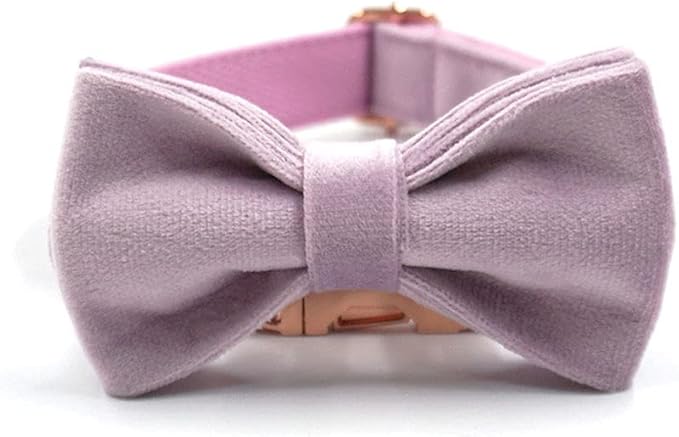 PETDURO Custom Dog Collar Personalized with Name Engraved Quick Release Rose Gold Metal Buckle for Large Medium Small Girl Dogs - Dog Leash and Bow Tie Available - Soft Comfy Velvet (Purple, S)