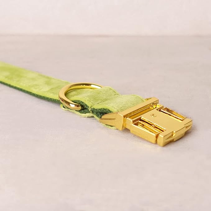 PETDURO Custom Dog Collar Personalized with Name Engraved Quick Release Rose Gold Metal Buckle for Large Medium Small Girl Dogs - Dog Leash and Bow Tie Available - Soft Comfy Velvet (Mint Green, M)