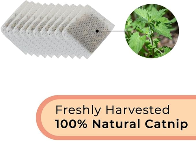 Whiskertons Interactive Bird Simulation Cat Toy Set, Interactive Cat Toys for Indoor Cats (10 Replacement Catnip Pouches)