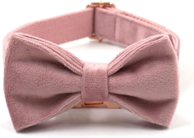 PETDURO Custom Dog Collar Personalized with Name Engraved Rose Gold Metal Buckle for Large Medium Small Girl Dogs - Dog Leash and Bow Tie Available - Soft Comfy Velvet (Champagne Pink RG, XL)
