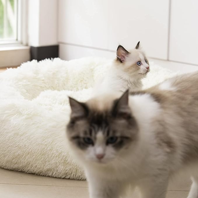 Anti Anxiety Round Fluffy Plush Faux Fur Warm Washable Dog Bed & Cat Bed, Original Bed for Small Medium Large Pets,Used to Relieve Joints and Improve Sleep(20"/24"/27'') (27", White)
