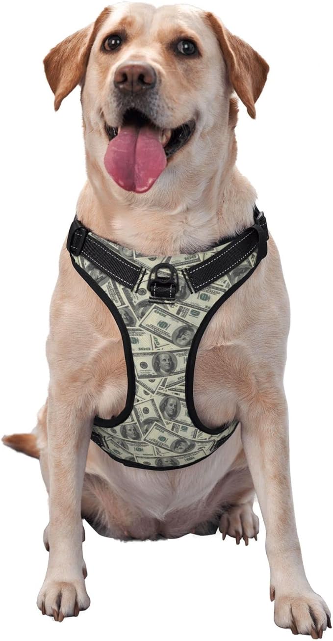 No Pull Dog Harness for X-Large Dogs Easy Walk Dog Vest Adjustable Collars Harnesses & Leashes Set Breathable Oxford Outdoor Walking Safety Reflective Strip Dollar Cash Prints
