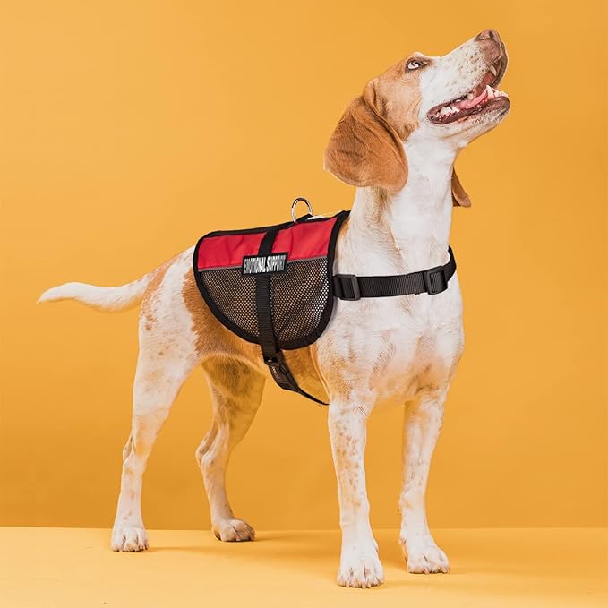 Dogline MaxAire Multi-Purpose Mesh Vest for Dogs and 2 Removable Emotional Support Patches, Large, Red