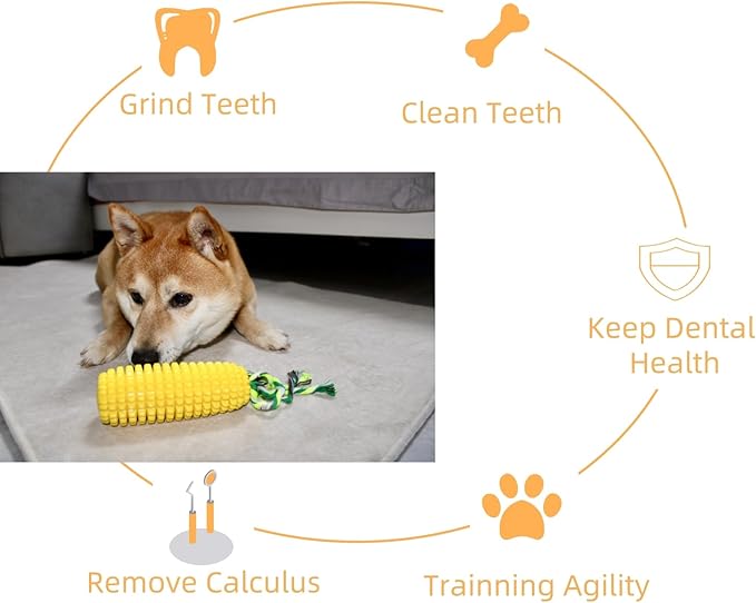 FJ Four Joys Corn-Shaped Dog Chew Toy, Squeaky Toy, Dog Toothbrush, Tough and Interactive Toy for Small, Medium and Large Dogs
