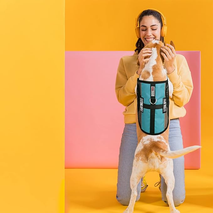 Dogline 17"-21" MaxAire Mesh Vest for Dogs and 2 Removable Emotional Support Patches, Medium, Turquoise