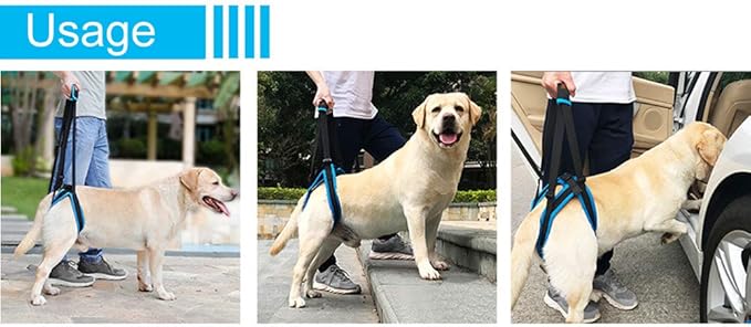 Adjustable Pet Dogs Lift Support Harness Breathable Mesh Padded Sling Straps Canine Support Rehabilitation for Injuries Arthritis Weak hind Legs & Joints, Blue (L)