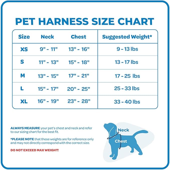 Best Pet Supplies Voyager Mesh Dog Breathable Harness Reflective Stitching, All Weather Adjustable for Walking Training, or Running - Heavy Duty & Durable, Harness (Fuchsia), L