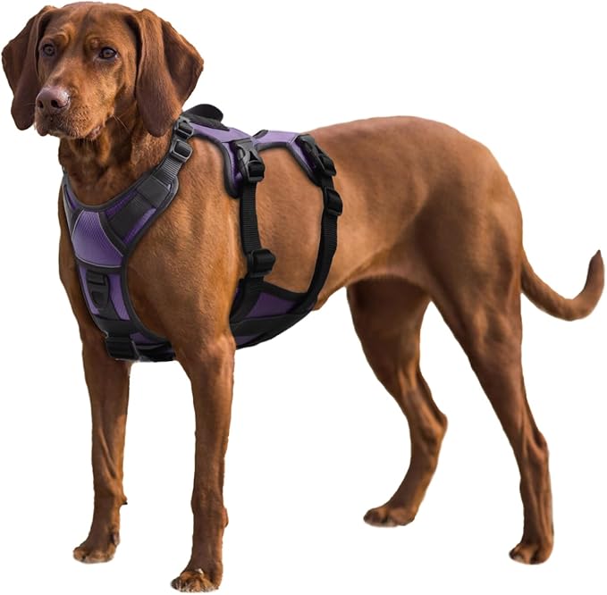 AUROTH Dog Harness, Escape Proof Dog Harness for Large Dogs, No Pull Dog Harness with Lift Handle, Soft Padded Reflective Adjustable Dog Vest Harness, Large Dog Harness for Walking Hiking Training