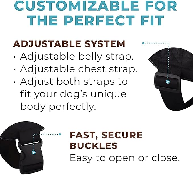 LUXE Joyride Harness for Dogs, No-Pull Pet Harness, Made in The USA, 3 Upgraded Side Rings, Adjustable Pet Vest, Easy On-Off and Improved Control Handle, Training, Walking, Running Blue