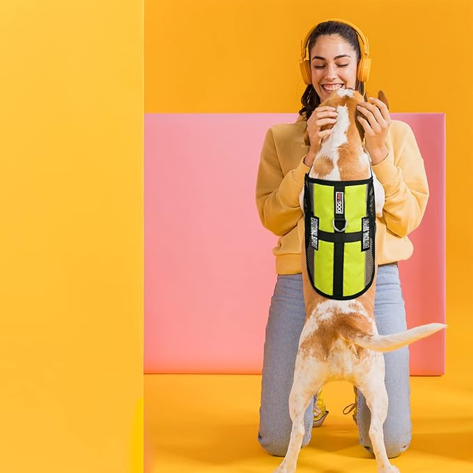 Dogline MaxAire Multi-Purpose Mesh Vest for Dogs and 2 Removable Emotional Support Patches, Large, Green