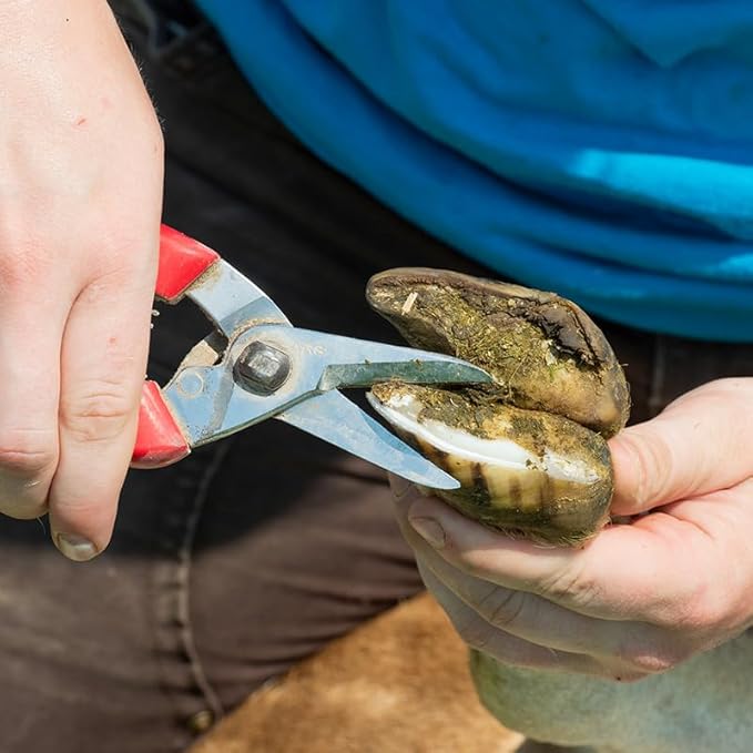 ARS 140DXR Smooth Blade Hoof Trimmer & Garden Pruning Shears