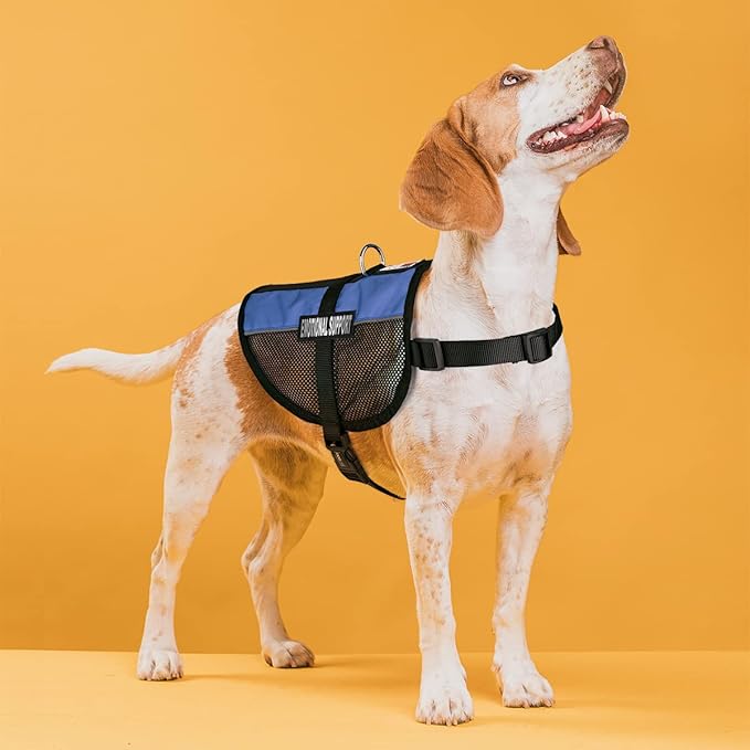 Dogline MaxAire Multi-Purpose Mesh Vest for Dogs and 2 Removable Emotional Support Patches, Small, Blue