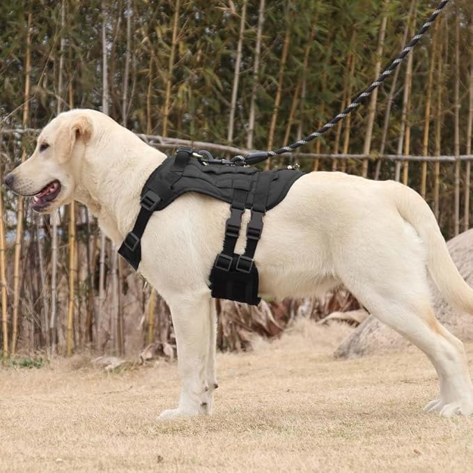 Tactical Harness for Large Dogs, Heavy Duty No Pull Dog Harness with Handle, Adjustable Size with Leash Clips, Suitable for Training, Walking, Hiking (Black,L)
