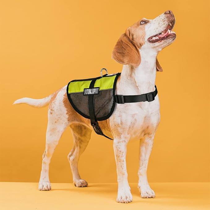 Dogline MaxAire Multi-Purpose Mesh Vest for Dogs and 2 Removable Emotional Support Patches, Large, Green