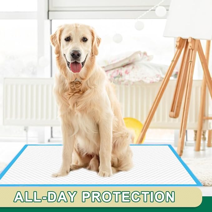 IMMCUTE Puppy Pee Pads 22"x23" | Dog Pee Training Pads Super Absorbent & Leak-Proof | Disposable Pet Piddle and Potty Pads for Puppies | Dogs | Doggie| Cats | Rabbits (Regular, Count, 14)