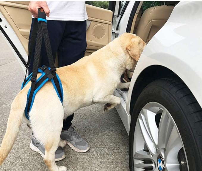 Adjustable Pet Dogs Lift Support Harness Breathable Mesh Padded Sling Straps Canine Support Rehabilitation for Injuries Arthritis Weak hind Legs & Joints, Blue (L)