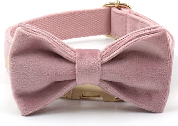 PETDURO Custom Dog Collar Personalized with Name Engraved Gold Metal Buckle for Large Medium Small Girl Dogs - Dog Leash and Bow Tie Available - Soft Comfy Velvet (Champagne Pink, XS)