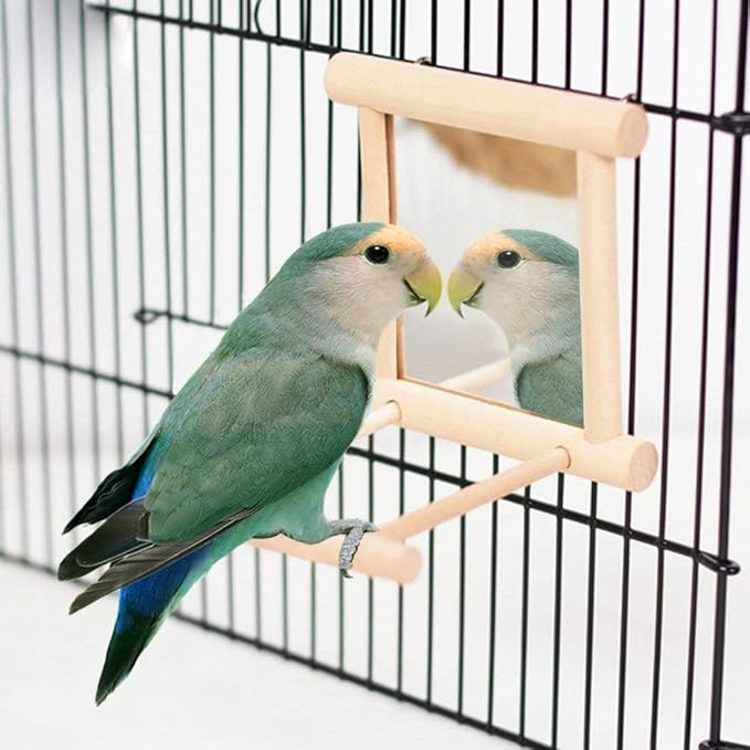 Bird Mirror Wooden Hanging Swing Interactive Play Toys for Small Parrot Budgies Macaw African Grey Parakeet Cockatiel Conure Lovebird Cage Accessories (Bird Mirror Perch Stand-2 PCS)