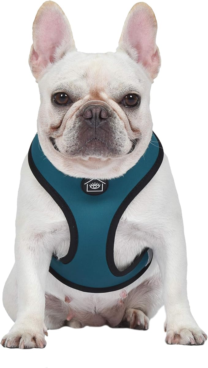 Now House for Pets by Jonathan Adler Jonathan Adler: Now House Leo Reversible Harness, Large | Stylish, Fashionable, and Functional Way to Keep Your Dog Looking Great | Adorable Dog Accessories
