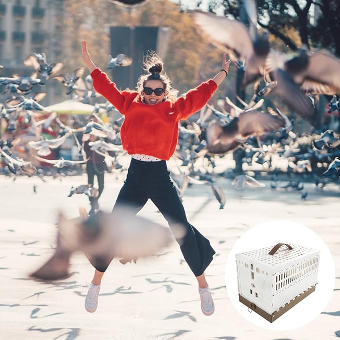 Small Bird Cage, Foldable Portable Carrier for Birds, Lightweight Training and Domestication Crate for Indoor Outdoor Yard Transport Travel Competition Use, Pet Aviary Accessory