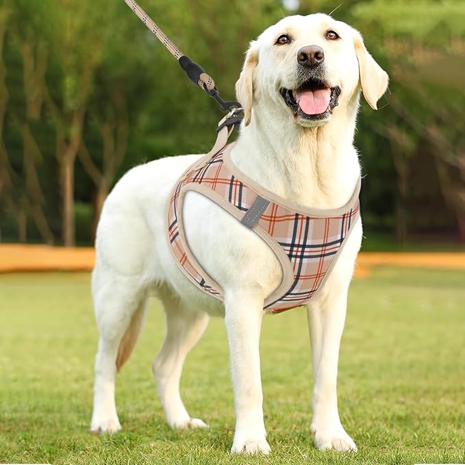 Athena Collection Step-in Dog Harness with 5 ft Leash, Large Dog Harness Leash Set Large No Pull Dog Vest Harness with Reflective Strips Adjustable Velcro, Easy Walk Dog Harness, Beige