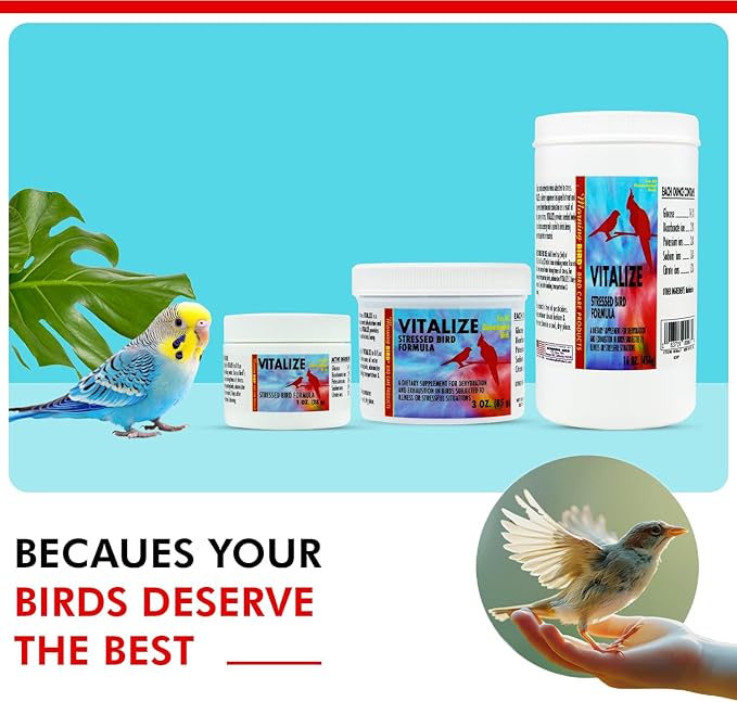 Morning Bird Vitalize for Birds 16 Oz – Stress Relief & Dehydration Supplement – Supports Hydration, Energy, Balance & Muscle Recovery – Easy Water-Soluble Supplement for All Bird Species.