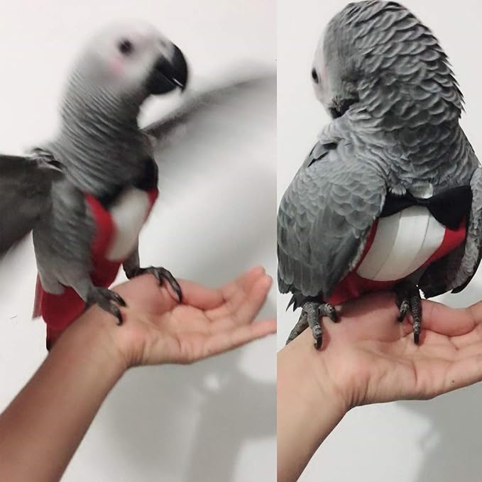 QBLEEV 2 Pack Bird Diapers, Cockatiel Tuxedo Flight Suite, Reusable Parrot Nappy Clothes Costume for Wedding Party Birthday Cosplay Photo, Pigeon Pants Urine Wet Suit for Conure Macaw Budgies Parakeet