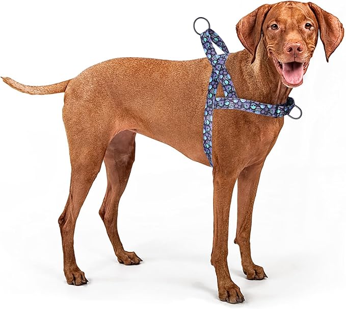 No Pull Dog Harness for Small, Medium, and Large Pets - Floral Pattern Nylon Safety Training Dog Harness (XS, Skull)