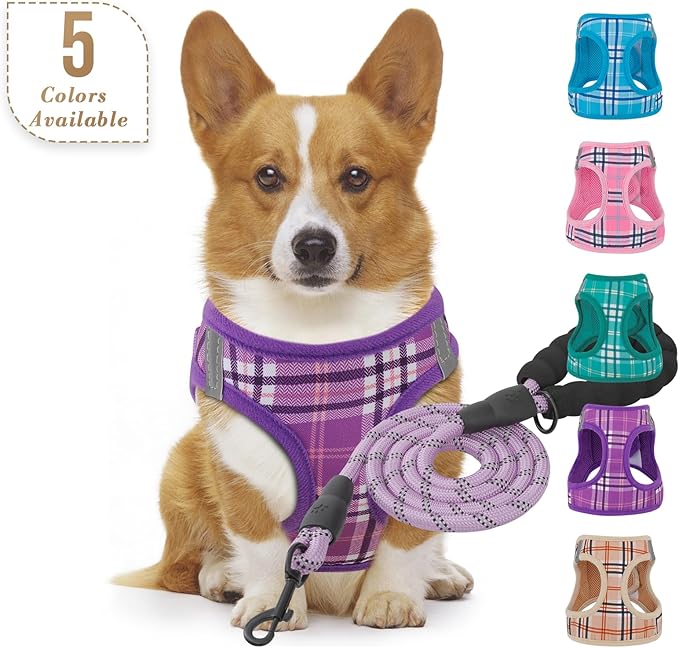 Athena Collection Step-in Dog Harness with 5 ft Leash, Small to Medium Dog Harness Leash Set Medium No Pull Dog Vest Harness with Reflective Strips Adjustable Velcro, Easy Walk Puppy Harness, Purple