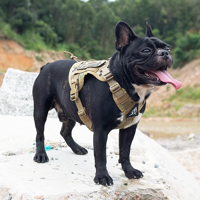 Tactical Dog Harness Vest with Handle, Military Dog Harness for Large Medium Dogs,No-Pull Service Dog Vest with Hook & Loop Panels,Adjustable Dog Vest Harness for Walking Hiking Training(Camo,M)
