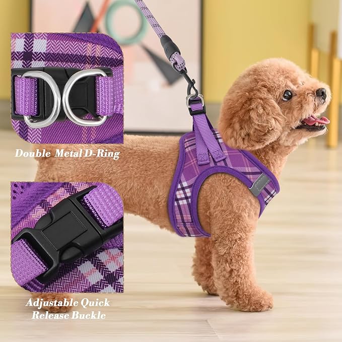 Athena Collection Step-in Dog Harness with 5 ft Leash, Small to Medium Dog Harness Leash Set Medium No Pull Dog Vest Harness with Reflective Strips Adjustable Velcro, Easy Walk Puppy Harness, Purple