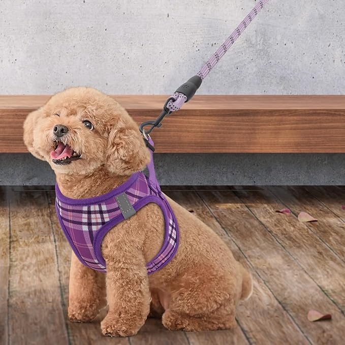 Athena Collection Step-in Dog Harness with 5 ft Leash, Small to Medium Dog Harness Leash Set Medium No Pull Dog Vest Harness with Reflective Strips Adjustable Velcro, Easy Walk Puppy Harness, Purple