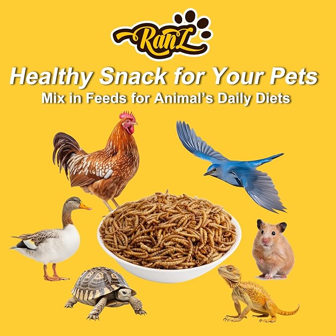 RANZ 2LBS Non-GMO Dried Mealworms for Chickens, High Protein Meal Worms, Premium Chicken Feed, Whole Large Mealworms for Blue Birds, Ducks, Fish