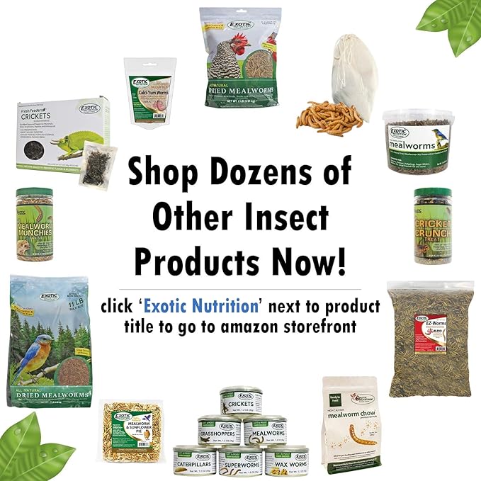 Exotic Nutrition Dried Insect 3 Pack - Crickets, Grasshoppers, Mealworms - for Sugar Gliders, Hedgehogs, Wild Birds, Chickens, Turtles, Tropical Fish, Reptiles…
