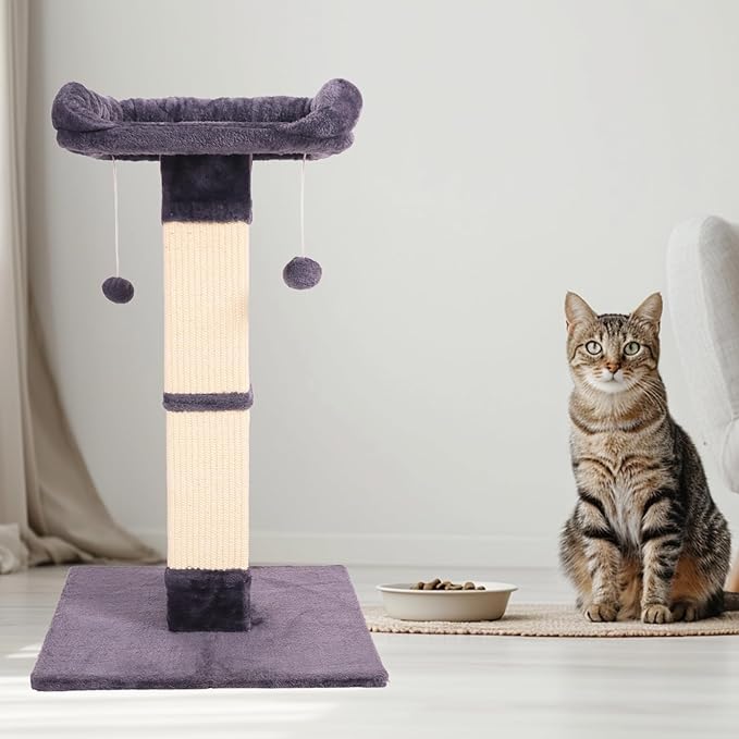 34" Cat Scratching Post for Indoor Cats, Sisal Cat Scratcher with Plush Perch and with Two Dangling Balls, Large Scratch Post with Bed, Removable Cover, Sisal Fabric