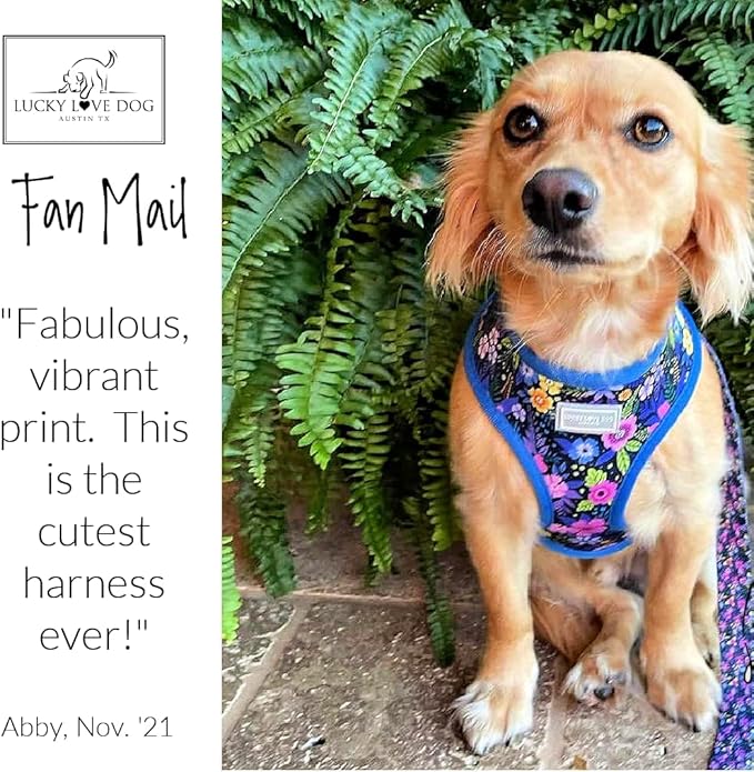 Lucky Love Dog, Girl Reversible Dog Vest, Purple Floral Pattern Tiny Dog Vest, Primrose, Extra Small