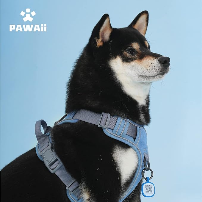 Pawaii Dog Harness for Small Dogs, Dog Harness with Pet ID Tag, No Choke Dog Harness, Adjustable Soft Padded Pet Vest with Easy Control Handle