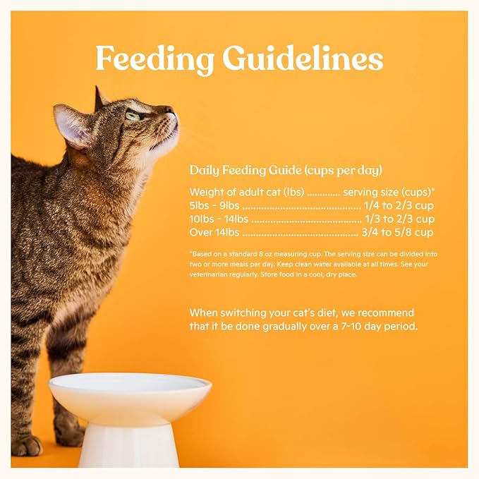 Made by Nacho Dry Cat Kibble 4lb Bag, High Protein Premium Cat Food with Freeze Dried Pieces, Cage-Free Chicken & Duck, Limited Ingredients, Single Bag