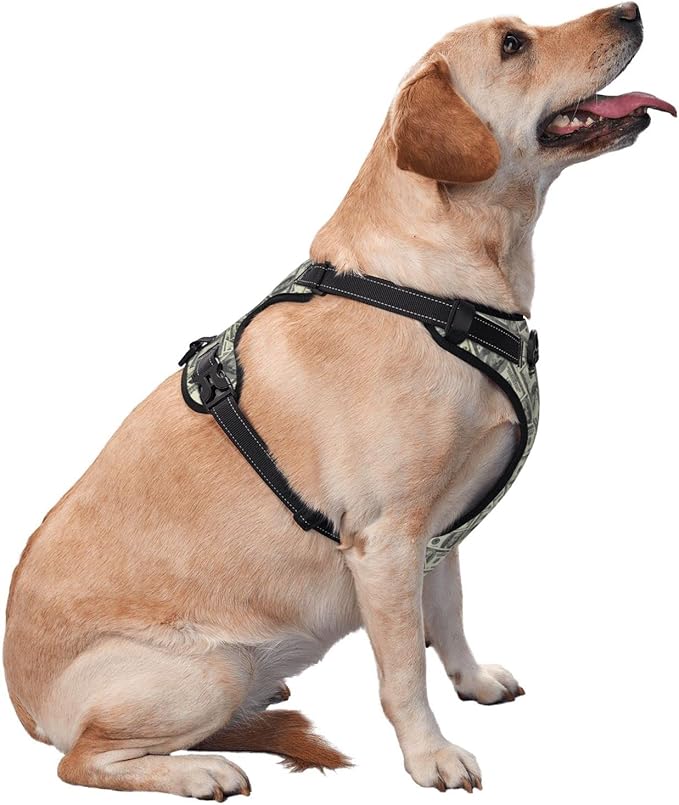 No Pull Dog Harness for X-Large Dogs Easy Walk Dog Vest Adjustable Collars Harnesses & Leashes Set Breathable Oxford Outdoor Walking Safety Reflective Strip Dollar Cash Prints