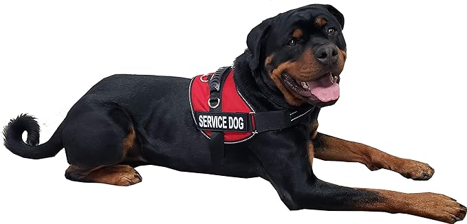 ActiveDogs Air-Tech Cordura Service Dog Vest Harness, Medium Girth 22"-30" w/Handle, ADA Cards + Reflective Service Dog Patches - Red
