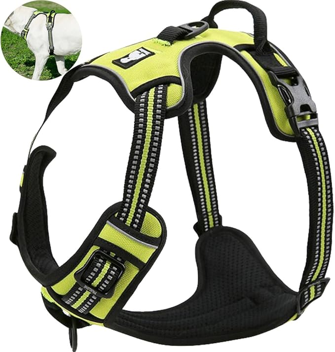 OLizee® New No Pull Dog Harness Outdoor Adventure Reflective Markings Pet Vest with Handle Adjustable Protective Nylon Walking Pet Harness Variety of Sizes and Colors,Green S