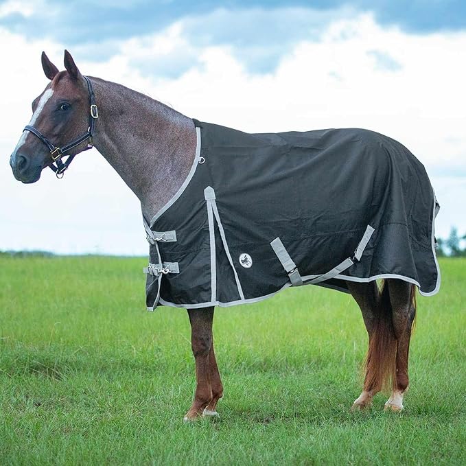 Jeffers Economy 600 Denier Standard Neck Horse Sheet 0 Gram Polyfill, 84 Inch – Waterproof Lightweight Turnout Blanket Sheet for Horses - Stable, Barn, Pasture, Travel, Adjustable Fit - Black Grey