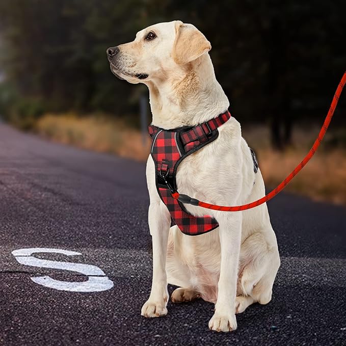 IVY&LANE No Pull Dog Harness with Leash Set, Reflective No Choke Pet Vest,Adjustable Oxford Dog Vest Harness with Easy Control Handle for Large Dogs (Checkered Red,L)