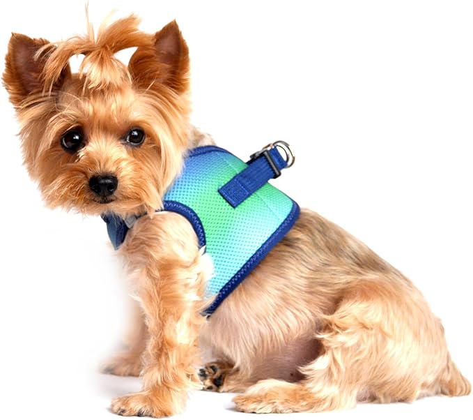 American River Choke-Free Dog Harness - Northern Lights Ombre