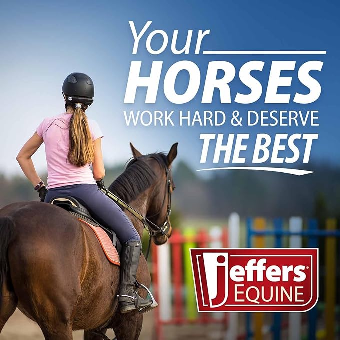Jeffers Horse Fleece Polo Wraps 4 Pack and Equine Health Record 1 Pack Kit – Leg Wrap Accessories for Training Riding Turnout Stable, Hoof Care Tracker, Equestrian Horse Supplies - Purple