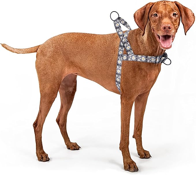No Pull Dog Harness for Small, Medium, and Large Pets - Floral Pattern Nylon Safety Training Dog Harness (M, Daisy)